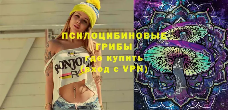 Псилоцибиновые грибы ЛСД  Отрадное 